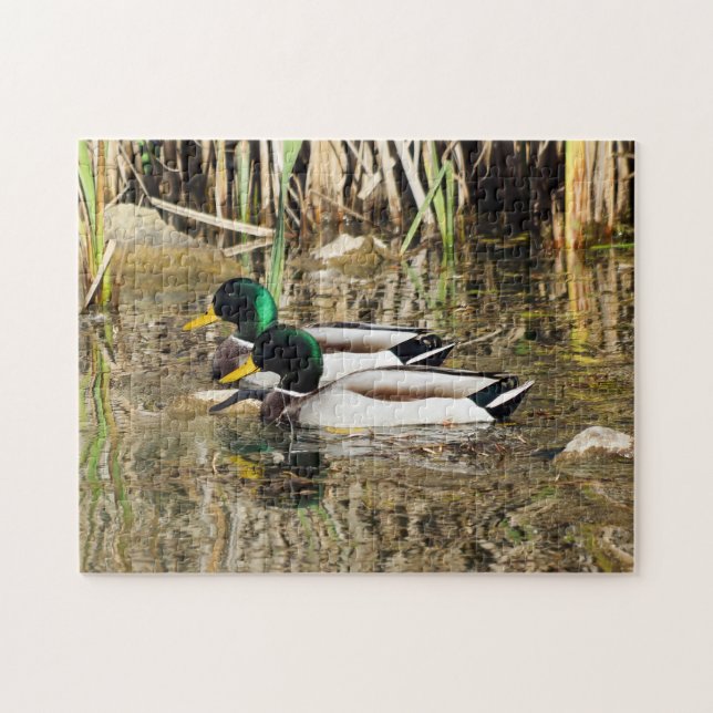 Quebra-cabeça dos patos do pato selvagem (Horizontal)