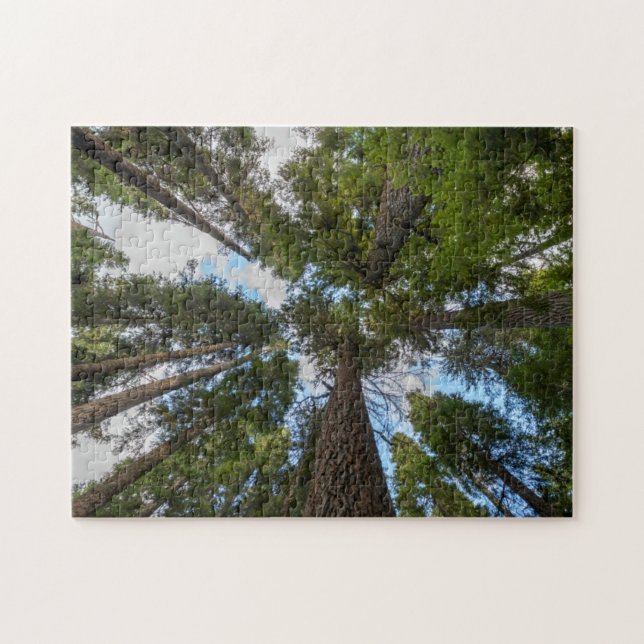 Quebra-cabeça dossel da árvore Douglas Fir (Horizontal)