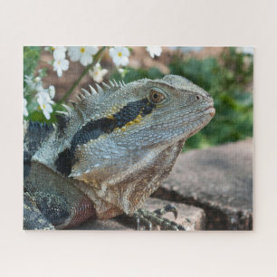 Quebra-cabeça Dragão da Água do Leste da Ilha de Lizard