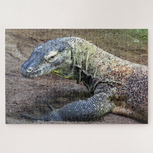 Quebra-cabeça dragão komodo (Horizontal)