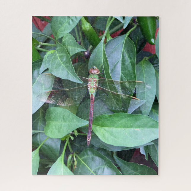 quebra-cabeça dragonfly (Vertical)