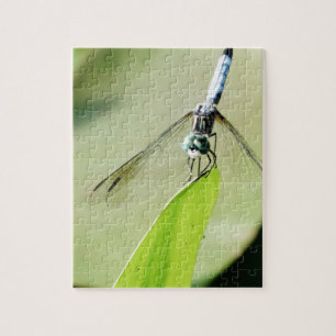 Quebra-cabeça Dragonfly azul sobre uma folha verde