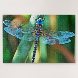 Quebra-cabeça Dragonfly Em Turquesa e Negro