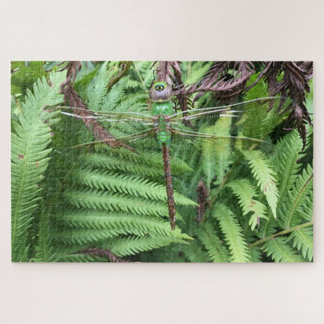 Quebra-cabeça Dragonfly no Jardim Difícil 1014 Piece Quebra-cabe (Horizontal)