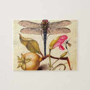Quebra-cabeça Dragonfly, Pear, Cravo e Insetos