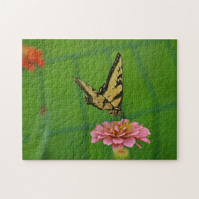 Quebra-cabeça Dreamfly Na Zinnia Rosa (Horizontal)