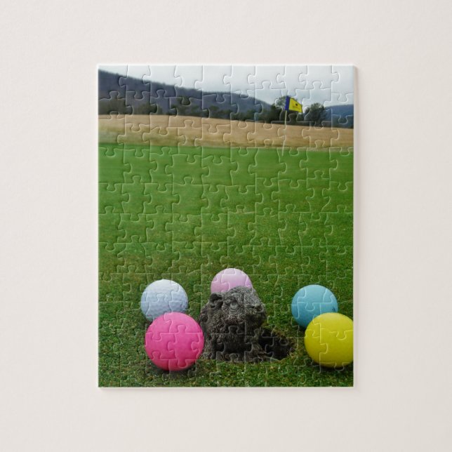 QUEBRA-CABEÇA DSCF0692.JPG (Vertical)