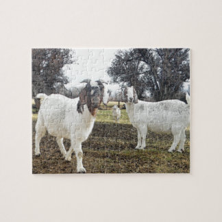 Quebra-cabeça Duas cabras