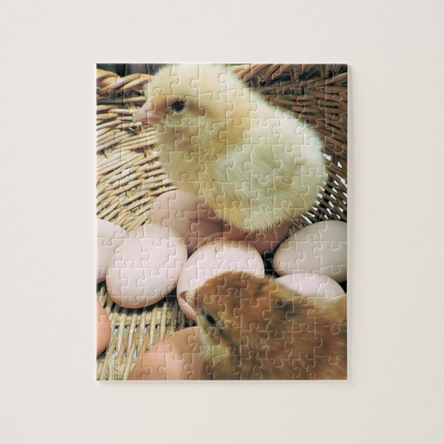 Quebra-cabeça Duas Galinhas Bebidas numa Cesta de Ovos (Vertical)