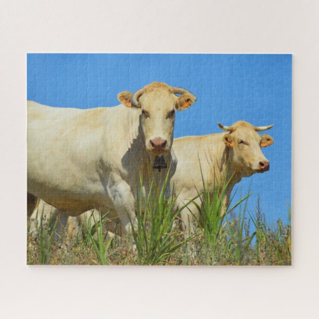 Quebra-cabeça Duas vacas em França (Horizontal)