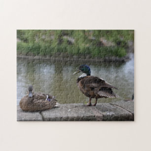 Quebra-cabeça Ducks by the Water Bird Nature Photography