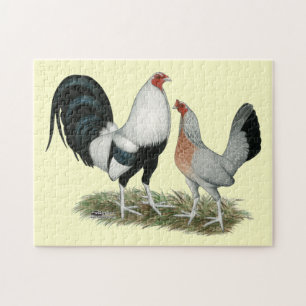 Quebra-cabeça Duckwing de prata Gamefowl