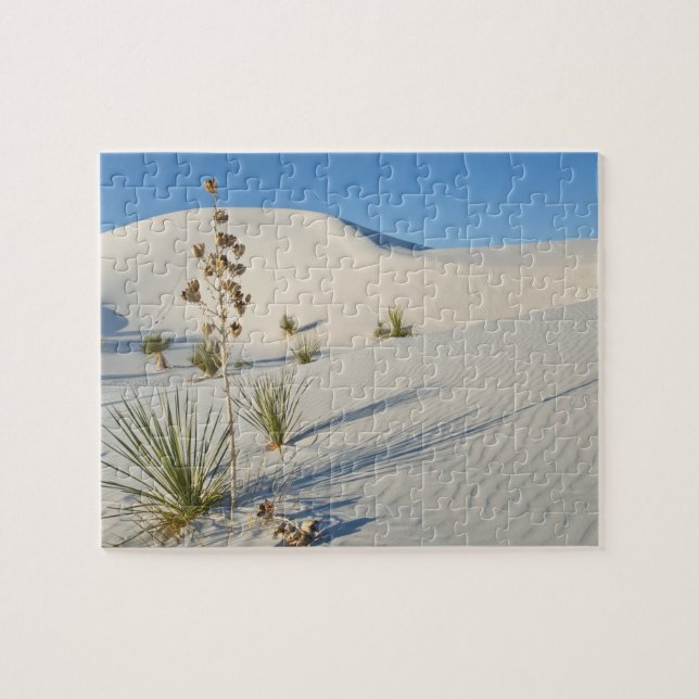 Quebra-cabeça Dunas Transversais, Yucca, sombras (Horizontal)
