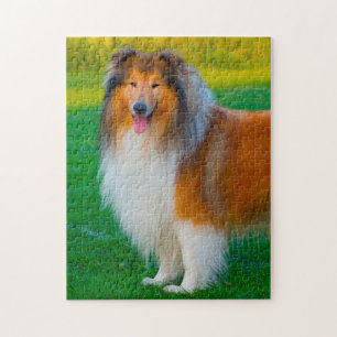 Quebra-cabeça É duro, Collie Dog Jigsaws.