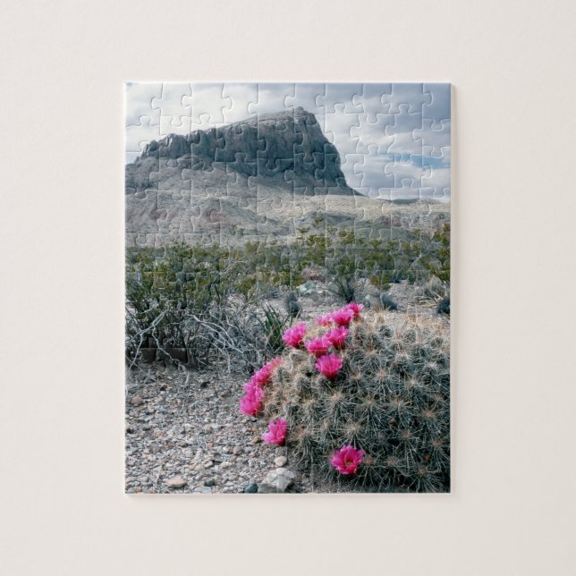 Quebra-cabeça E.U.A., Texas, Parque Nacional Big Bend. Florescen (Vertical)
