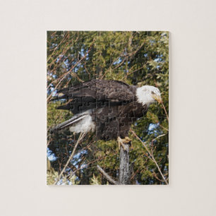 Quebra-cabeça Eagle 7
