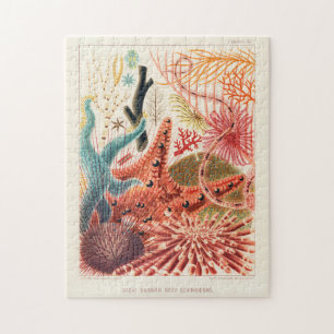 Quebra-cabeça Echinoderme da Barreira do Excelente Vintage Reef