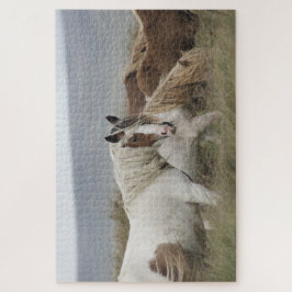 Quebra-cabeça Efetivo de Cavalos Selvagens