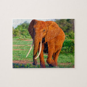 Quebra-cabeça Elefante Africano