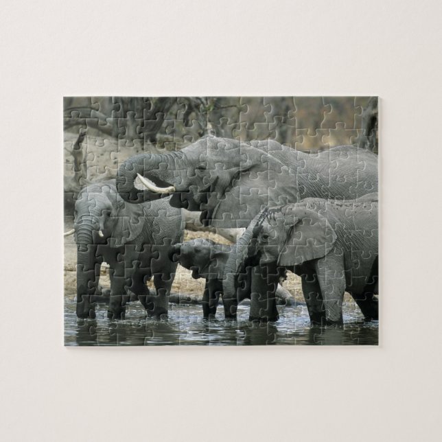 Quebra-cabeça Elefante-africano, (Loxodonta africana), bebendo (Horizontal)