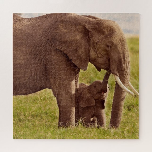 Quebra-cabeça Elefante & bebê das imagens | de Getty (Horizontal)