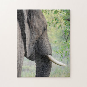 Quebra-cabeça Elefante Cinza Exótico Africano Grande