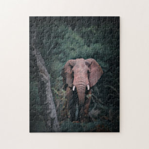 Quebra-cabeça Elefante da Floresta Africana