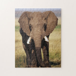 Quebra-cabeça Elefante-da-savana-africano