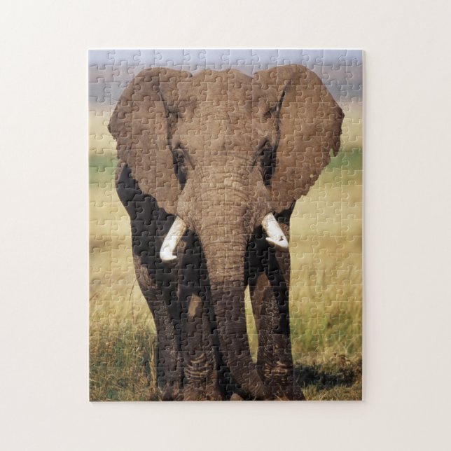 Quebra-cabeça Elefante-da-savana-africano (Vertical)
