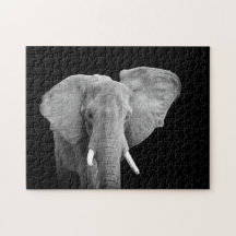 Elefante em preto e branco
