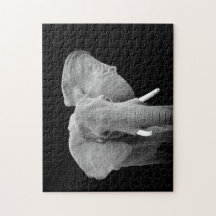 Elefante em preto e branco