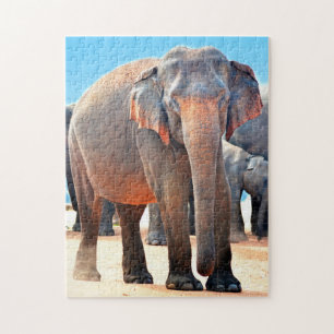 Quebra-cabeça Elefante Indiano Sri Lanka.