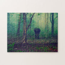 Elefante nos Bosques.