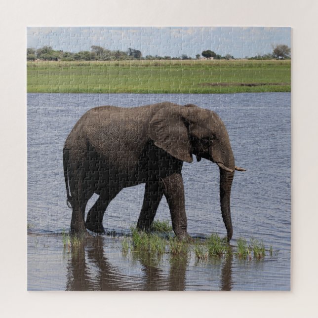 Quebra-cabeça elefante pacífico (Vertical)