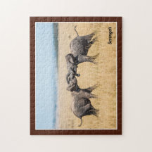 Elefante Serengeti África Savana Vida Selvagem