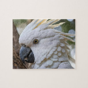 Quebra-cabeça Elegância em Branco: A Majestosa Cockatoo Aussie