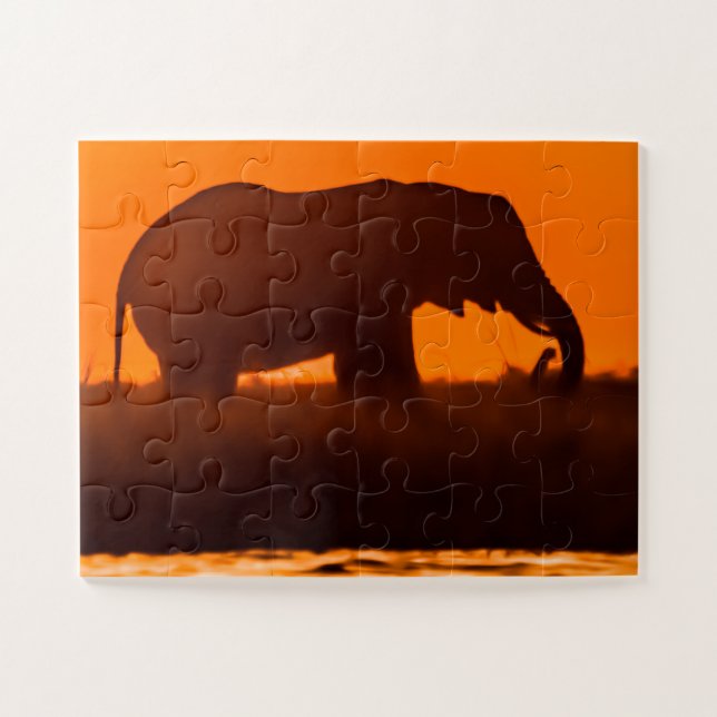 Quebra-cabeça Eliphant Grazing no Sunset (Horizontal)