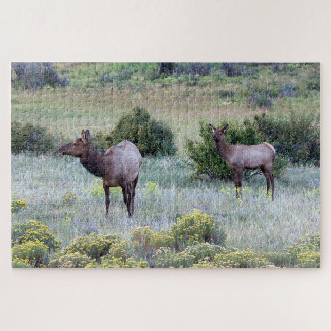 Quebra-cabeça Elk Americano | Colorado (Horizontal)