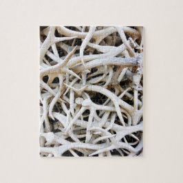 Quebra-cabeça - Elk Antlers