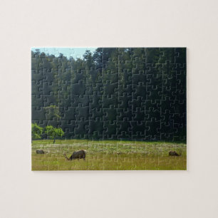 Quebra-cabeça Elk Meadow no Parque Nacional Redwood