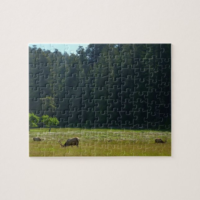 Quebra-cabeça Elk Meadow no Parque Nacional Redwood (Horizontal)