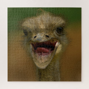 Quebra-cabeça Embrace de Ostrich