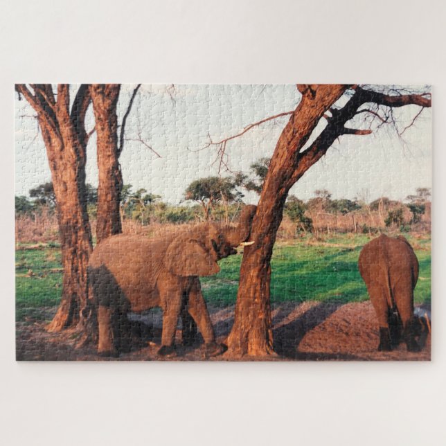 Quebra-cabeça empurrão elefante (Horizontal)