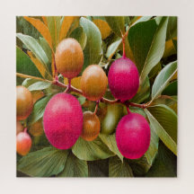 Empurre o Aventura de Fruta Tropical