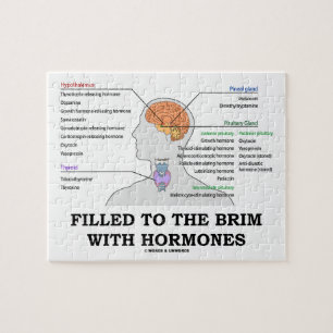 Quebra-cabeça Enchido à borda com o humor médico das hormonas