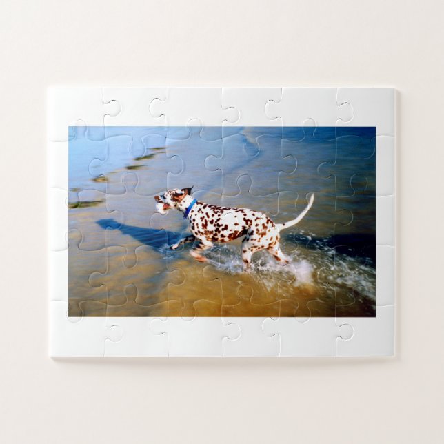 Quebra-cabeça Encontra o cão dalmata (Horizontal)