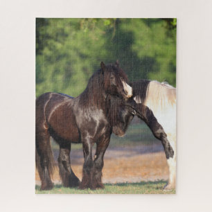 Quebra-cabeça Encontro com Vanners Ciganos Pretos e Brancos