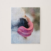 Engraçado Cachorro Cachorro Tongue Branco Schnauze