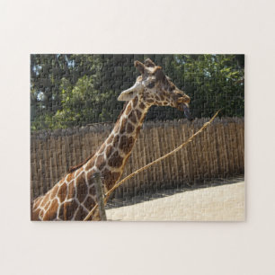 Quebra-cabeça engraçado do girafa