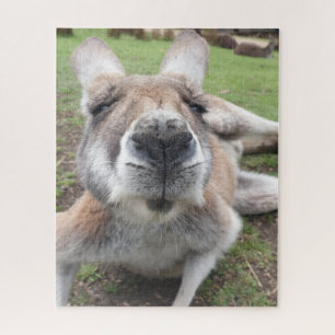 Quebra-cabeça Engraçado Engraçado Cara Kangaroo Foto Educacion